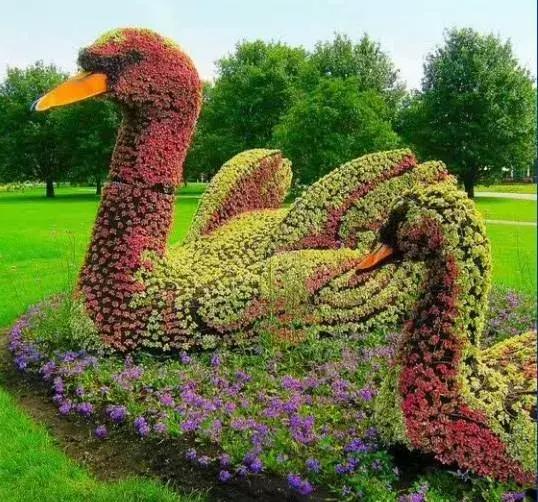 刚出的群主相册,有群的都看看,太美了,这一辈子见一次值了!