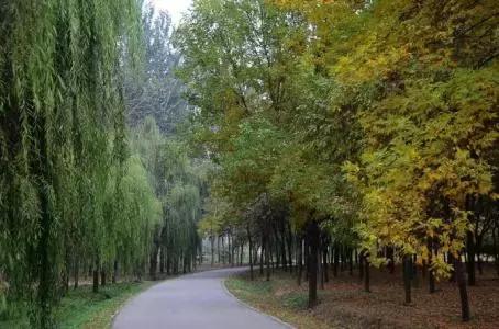 北京各区16处免费森林公园,森林公园北京有几个