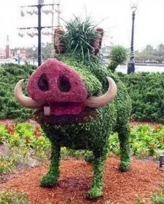 11月4,有群的都看看,太美了,这一辈子见一次值了!