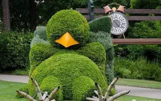 刚出的群主相册,有群的都看看,太美了,这一辈子见一次值了!