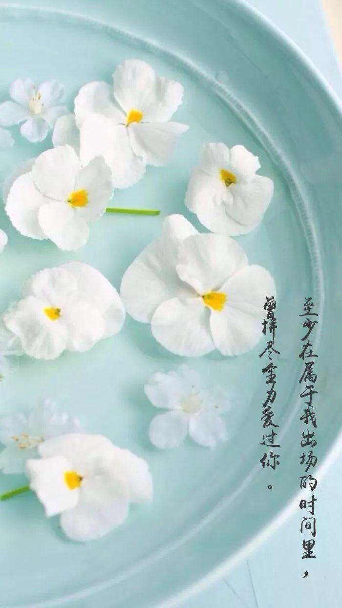 属鼠的女人的优点,属鼠优点