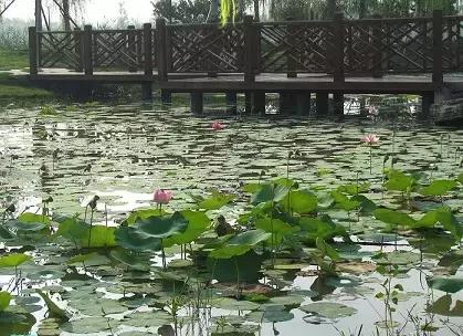 北京各区16处免费森林公园,北京最新40个公园