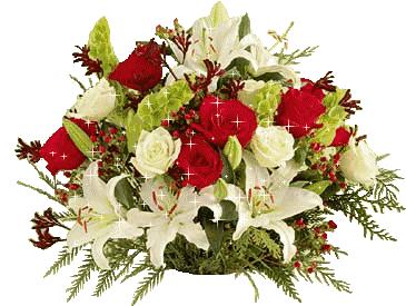 11月4,有群的都看看,太美了,这一辈子见一次值了!