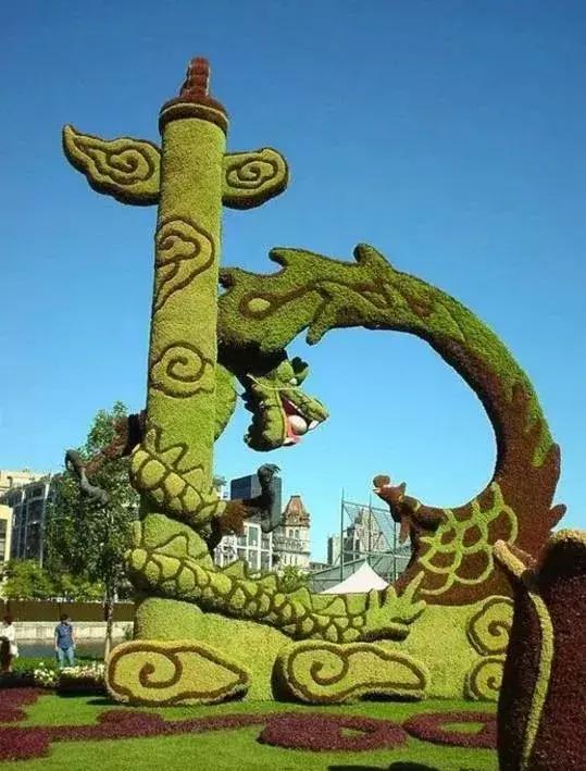 11月4,有群的都看看,太美了,这一辈子见一次值了!