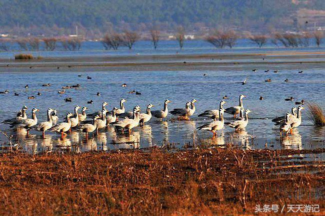 丽江古城旅游攻略一览表,丽江古城游玩攻略必去景点