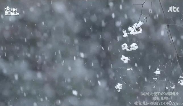 真正的孝利家民宿,慢节奏治愈风民宿