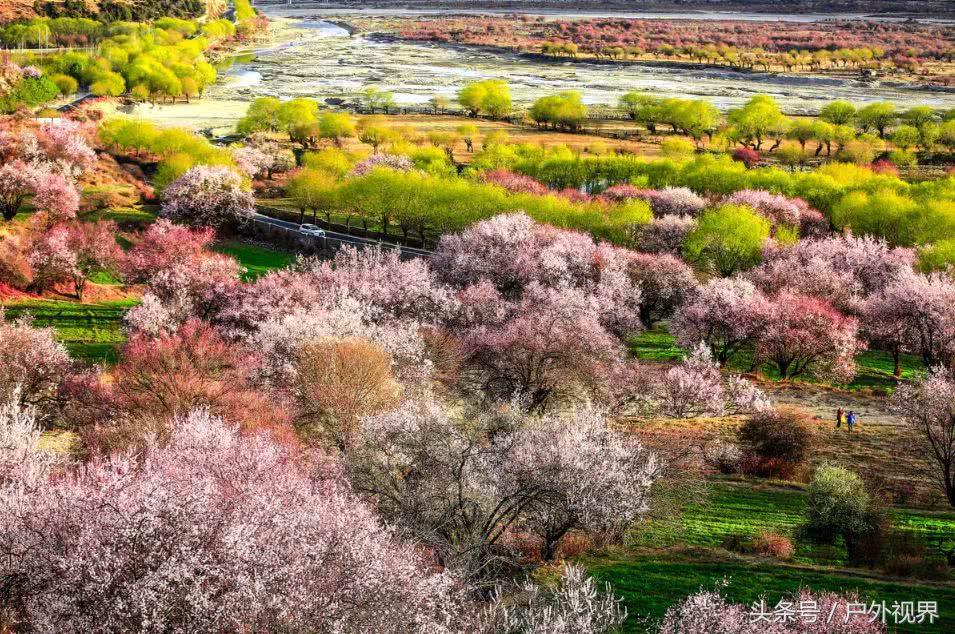 中国3月适合自驾的地方,自驾藏南旅游攻略
