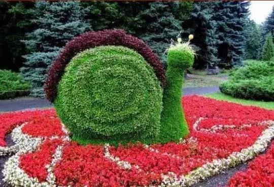 刚出的群主相册,有群的都看看,太美了,这一辈子见一次值了!