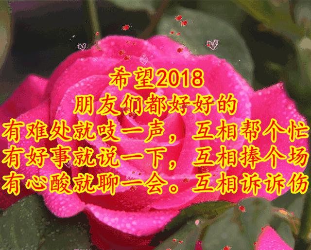 11月4，有群的都看看，太美了，这一辈子见一次值了！