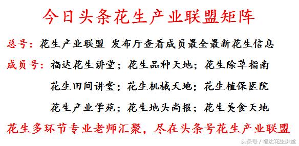 花生在地里泡了四五天还能活吗,花生泡水里漂起来的花生是坏的吗