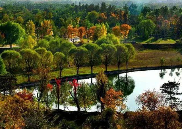 北京这38个森林公园您都去吗？先收藏了，有空咱们玩个遍！