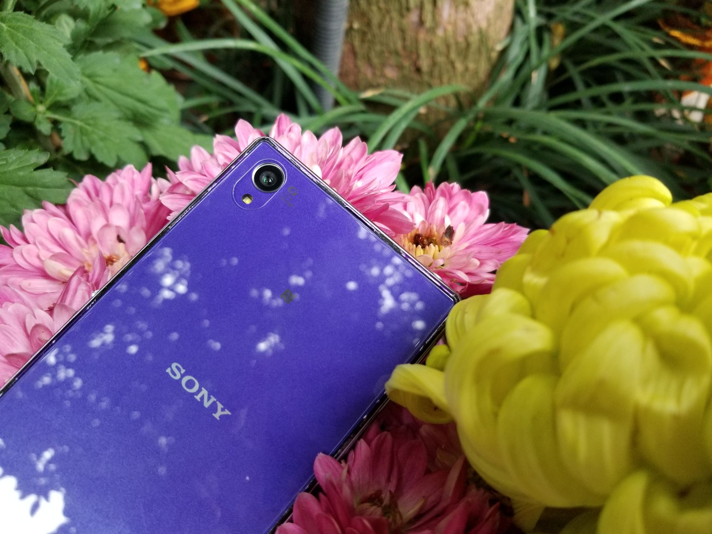 索尼xperiaz1i,索尼xperiaz1最新消息