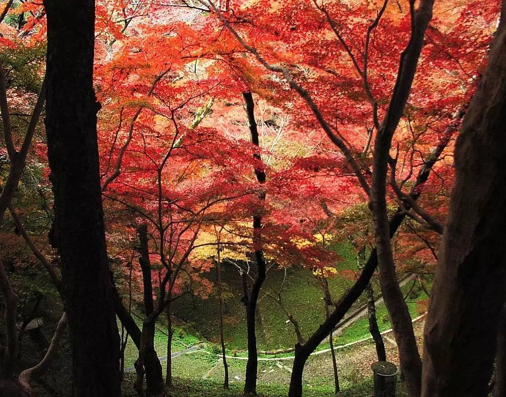 日本福冈几月去最好,日本福冈的下雨季节是几月