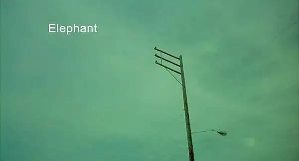 十三年前的金棕榈，房间里的大象