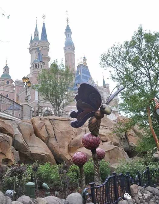 跟着朵拉去探险英文,迪士尼上海儿童游玩攻略