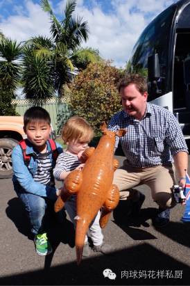 为什么说牛奶是最佳的补钙来源,为什么说牛奶是最佳补钙食物来源