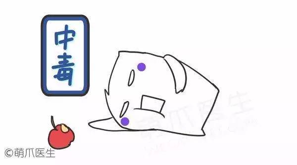 怕狗狗死了怎么办,狗狗突然大叫抽搐怎么急救