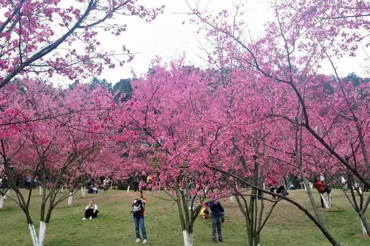 南宁必须做的10件事,在南宁必须知道的事情