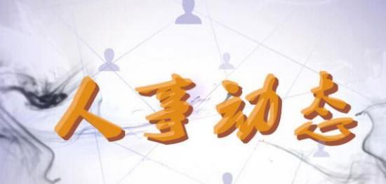 现任洋河新区书记,洋河新区领导干部