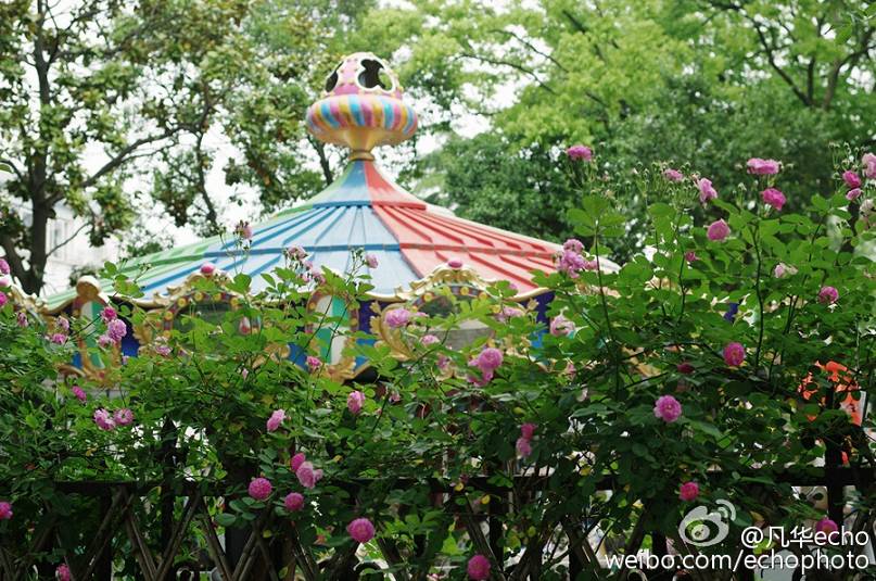 千年古街观前街,在观前街旁边的一条街叫什么