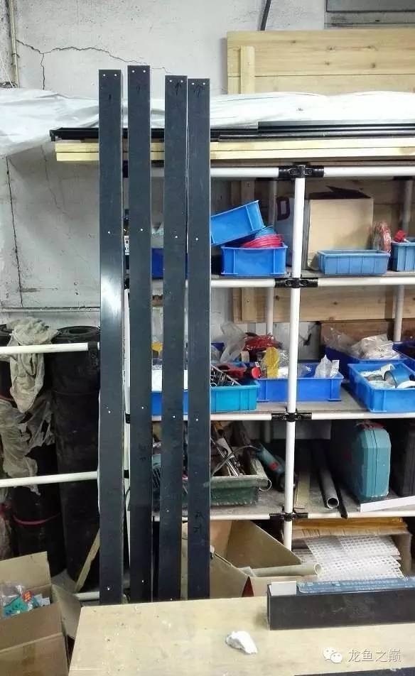 超级白，超会做，这才叫养鱼！