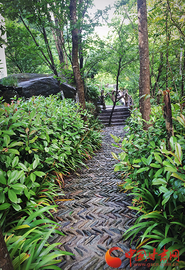 来一场说走就走的旅行第一站陇南,身未动心已远演唱