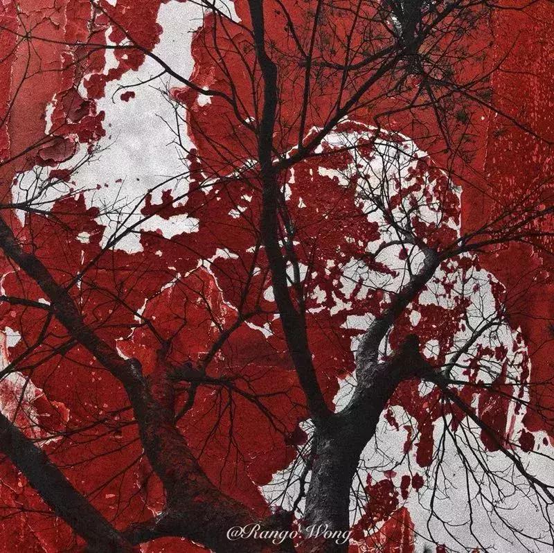 手机摄影作品周末篇赏析,手机拍100个高逼格摄影作品