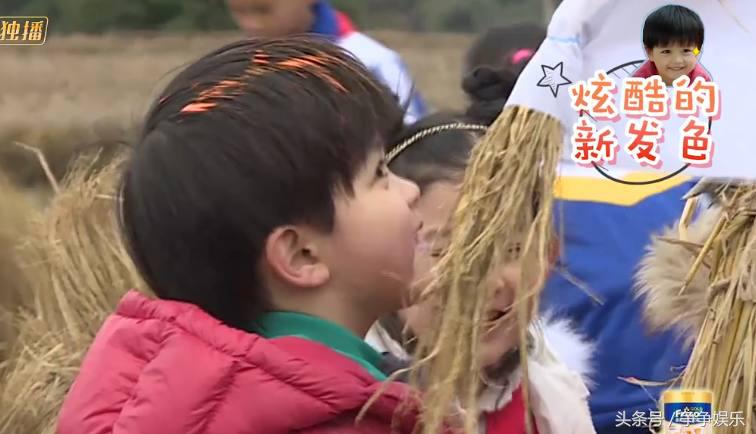 肯尼张歆艺完整视频,袁弘张歆艺肯尼综艺节目