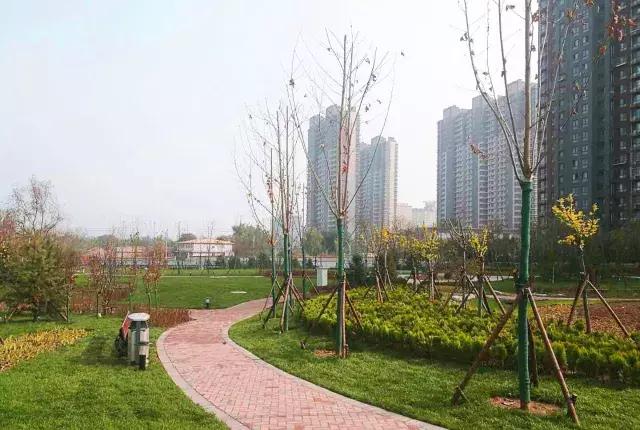 海淀后花园,海淀后花园小院