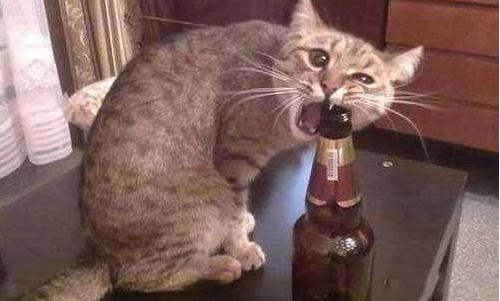 医院的搞笑事件,盘点医院的奇葩搞笑病例