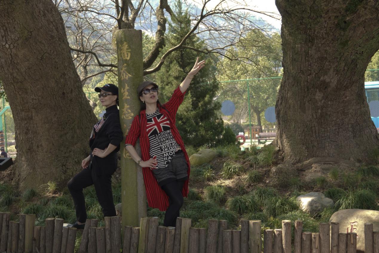 慈溪市内一日游推荐,慈溪龙山一日游最佳去处