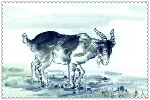 生肖羊的人命最好,十二生肖羊到底是什么命