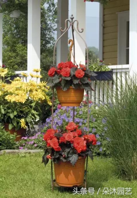 园艺插花容器,容器家庭园艺