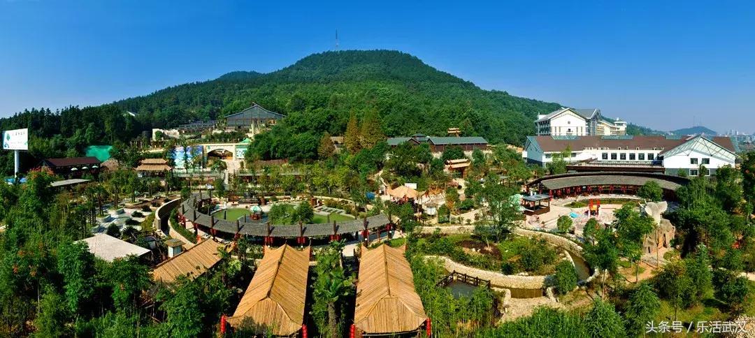 武汉春游两日游攻略大全,武汉春游适合去哪里玩