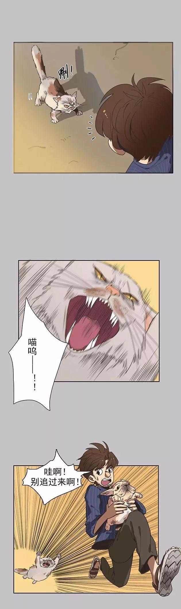 猫和铲屎官的日常生活漫画,铲屎官的搞笑漫画