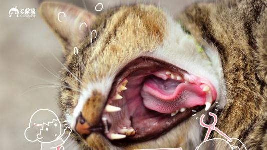 绝地求生比较变态的死法,绝地求生各种花式死亡