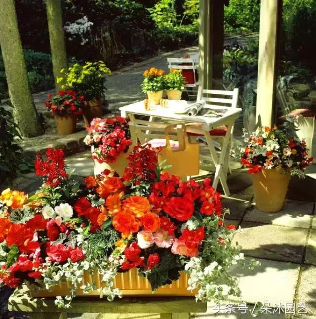 园艺插花容器,容器家庭园艺