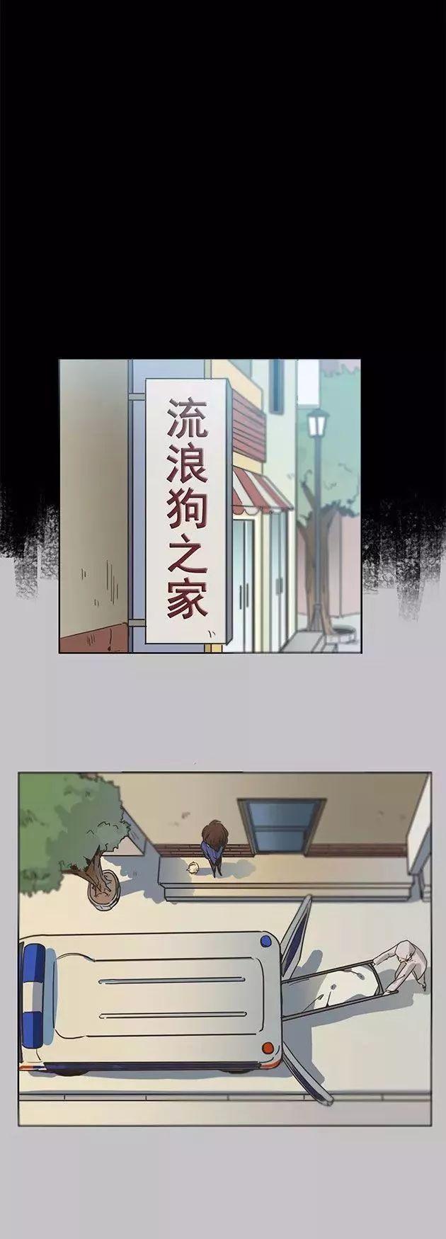 猫和铲屎官的日常生活漫画,铲屎官的搞笑漫画