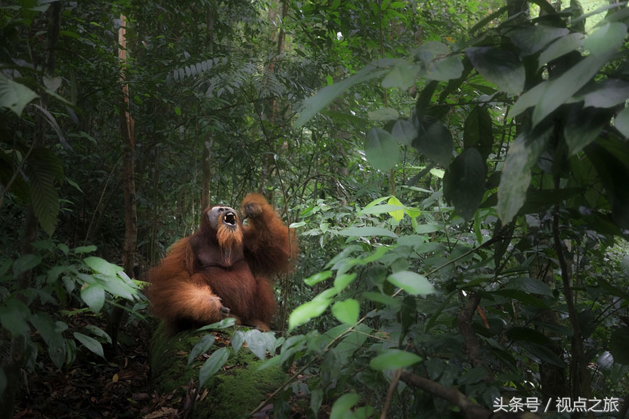 世界20幅人像摄影,52张世界顶级摄影