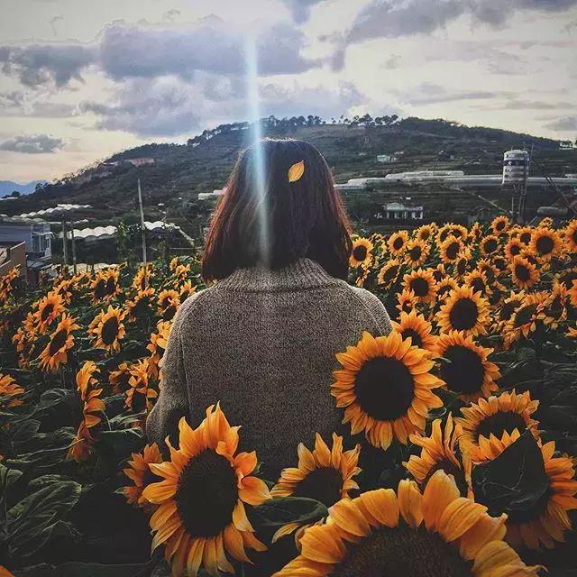 越南大叻必去的景点有哪些,越南大叻旅游强烈推荐的5个景点