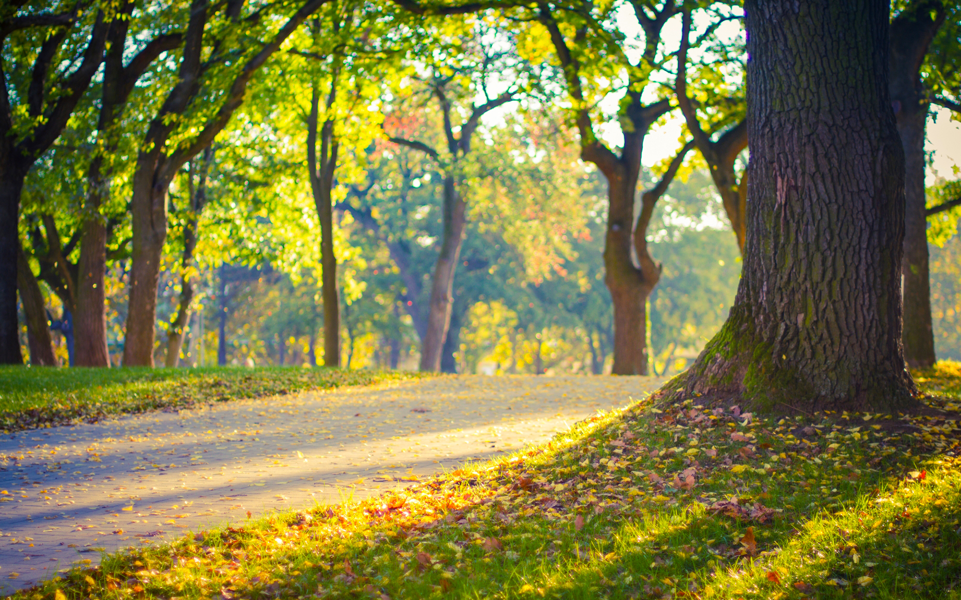 爸妈脾气不好，总吵架，要离婚，作为儿女该怎么办？