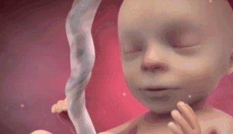 孕期羊水干货知识大全,孕妈妈产检资料收纳册