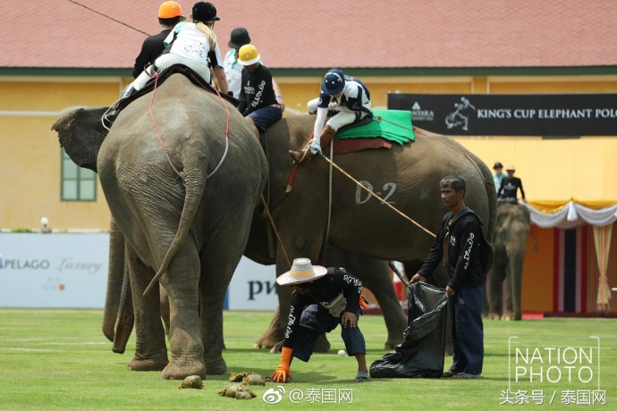 第4届泰国足球公开赛,泰国国王杯佛牌比赛