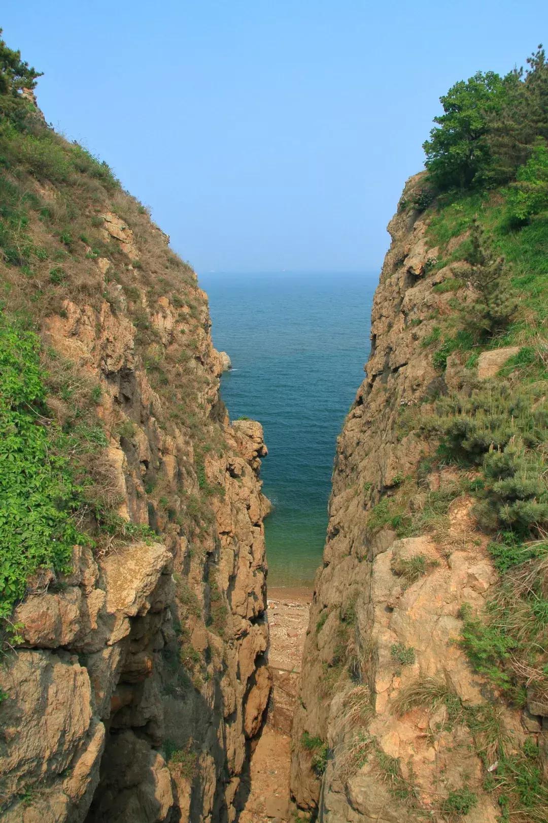 这个有用！外地朋友来大连就用这条微信带他们玩挺全的！