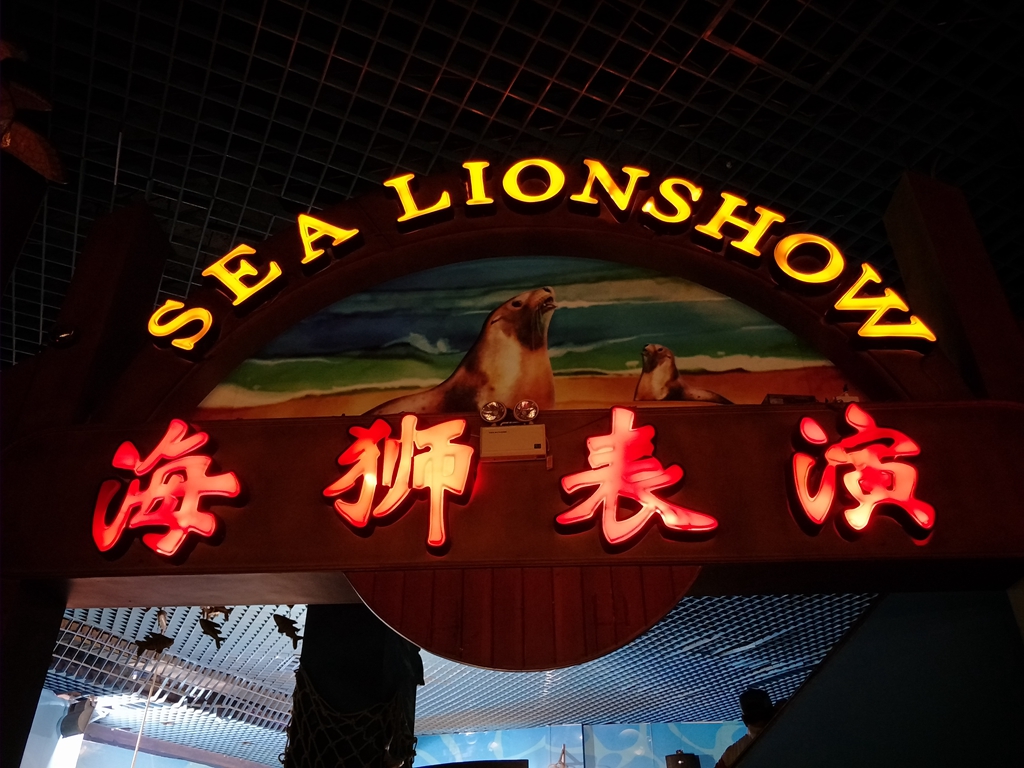 北京南到太平洋海底世界,走进太平洋海底世界视频