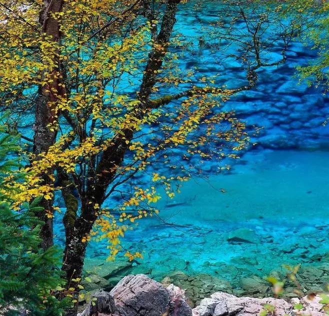 九寨沟震后形成新景观,人间仙境九寨沟震后依然山清水秀