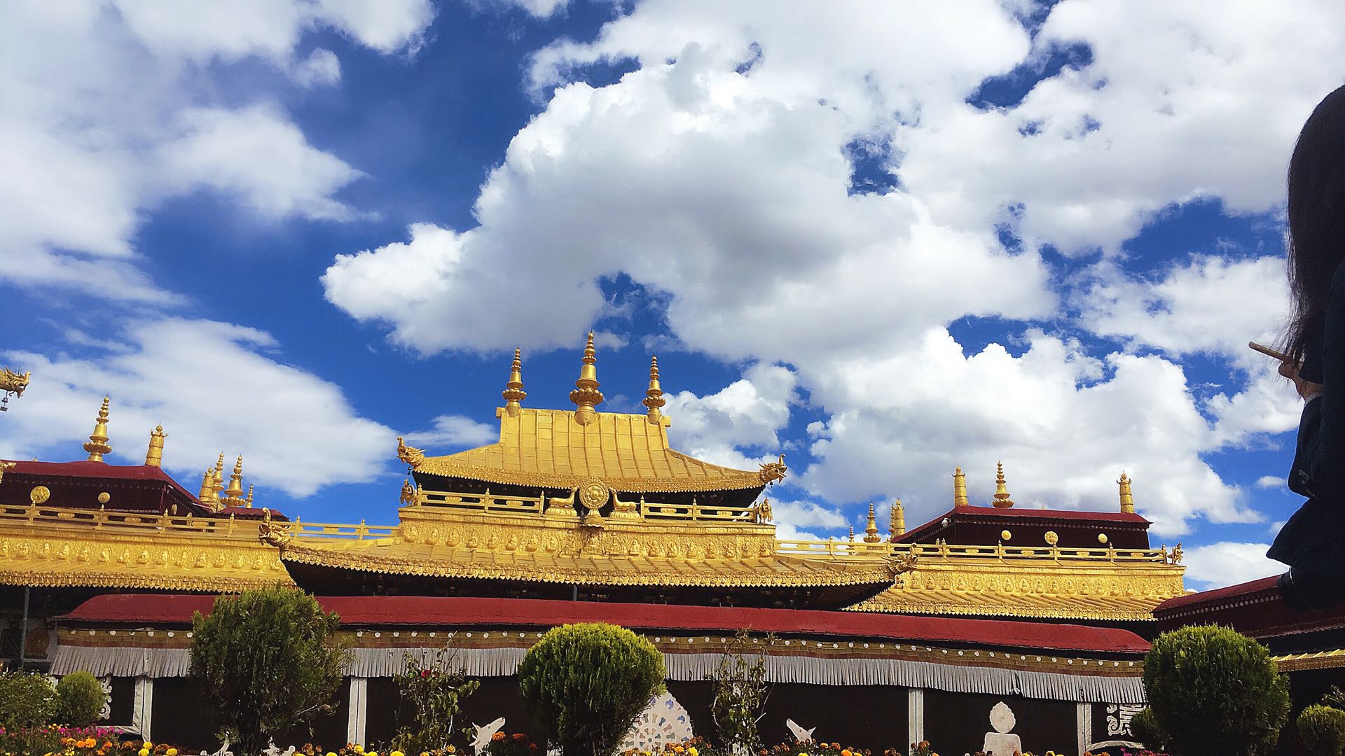 感受不一样的旅行,感受不一样的生活不一样的风情