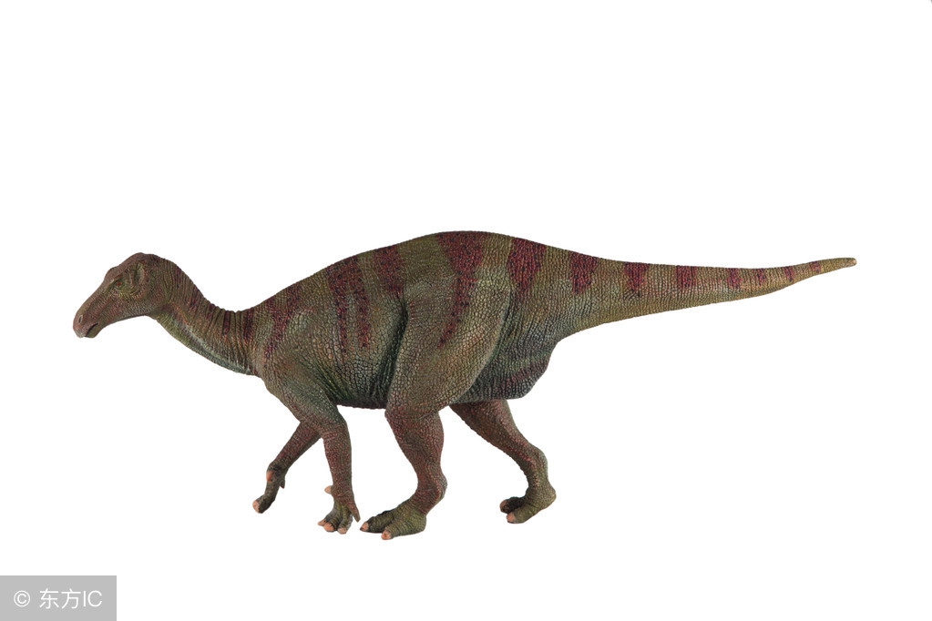 宝宝喜欢恐龙的原因 (3-6岁喜欢的恐龙)