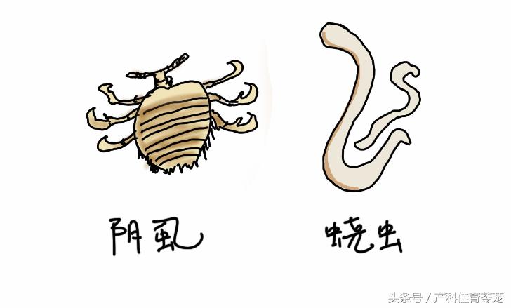 治疗妇科外阴瘙痒用什么洗最好,外阴瘙痒有破溃处擦什么药有效