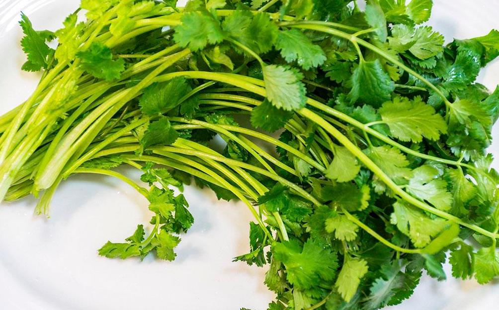 晨看*疆新**│乌市参保人员异地就医可传真备案；CBA季后赛八强就位